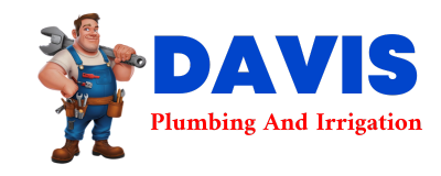 Trusted plumber in CASTLE HAYNE